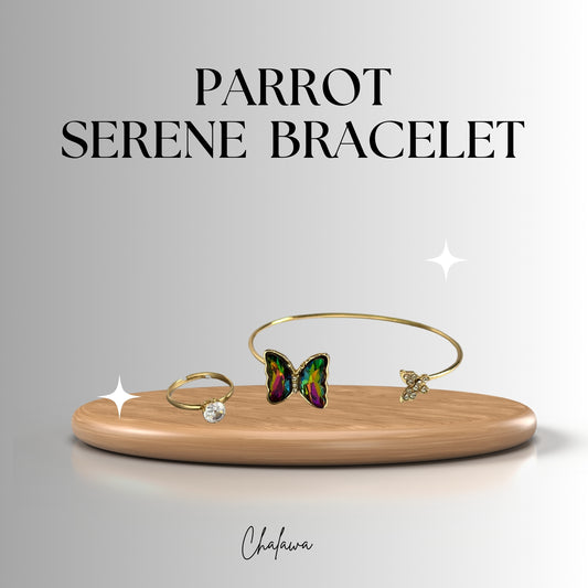 Butterfly Parrot Bracelet - Jewelry Women